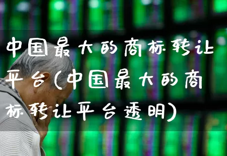 中国最大的商标转让平台(中国最大的商标转让平台透明)_https://www.wanyuyiyao.com_创业板_第1张