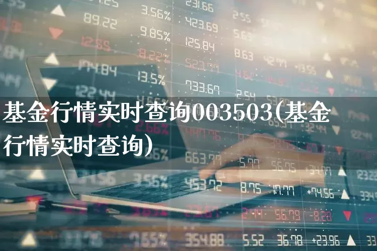 基金行情实时查询003503(基金行情实时查询)_https://www.wanyuyiyao.com_上交所_第1张