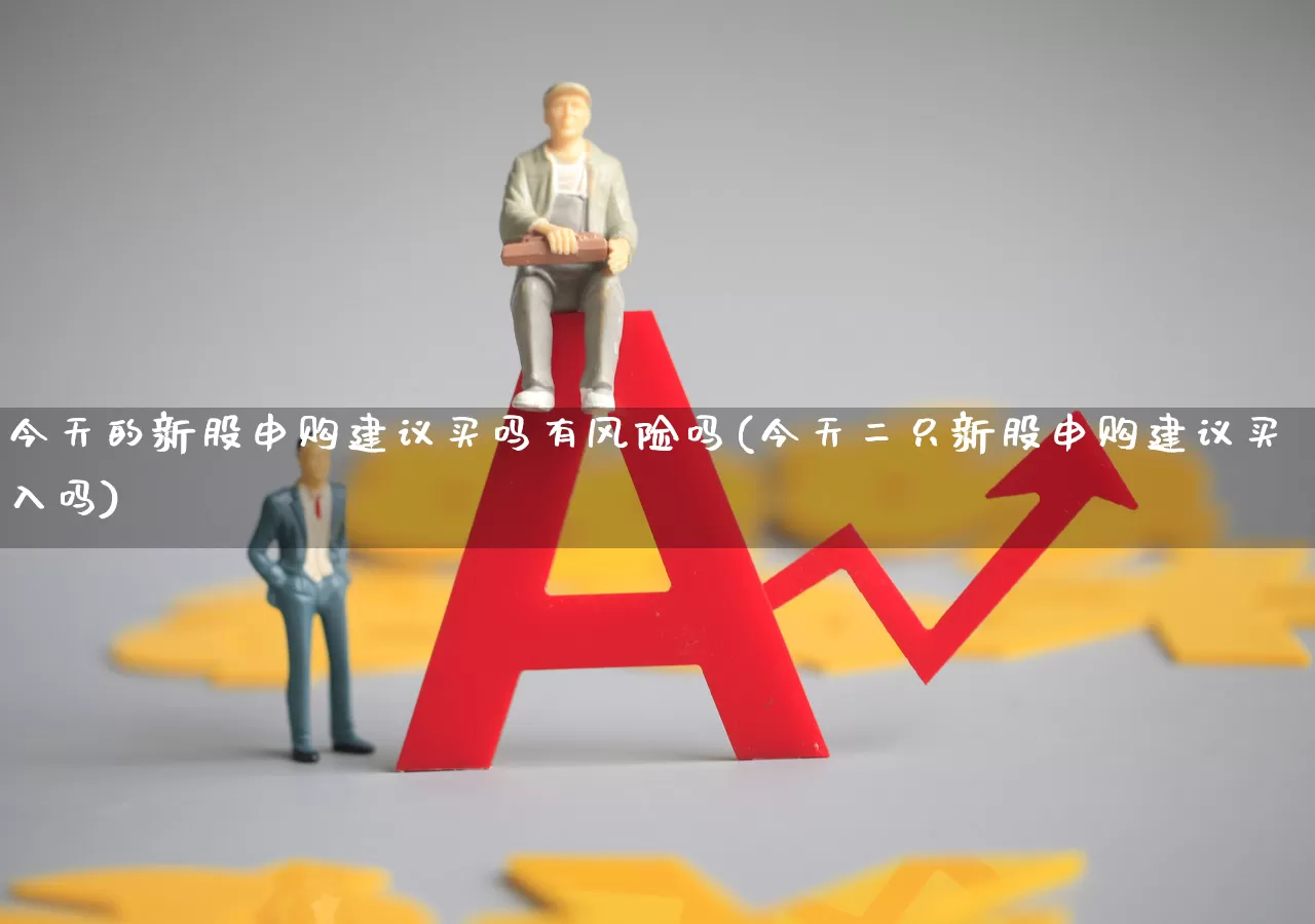 今天的新股申购建议买吗有风险吗(今天二只新股申购建议买入吗)_https://www.wanyuyiyao.com_北交所_第1张