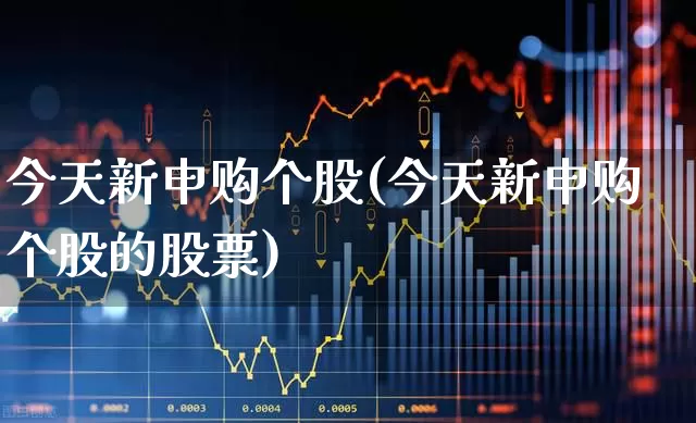 今天新申购个股(今天新申购个股的股票)_https://www.wanyuyiyao.com_上交所_第1张