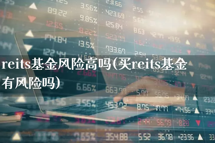 reits基金风险高吗(买reits基金有风险吗)_https://www.wanyuyiyao.com_科创板_第1张