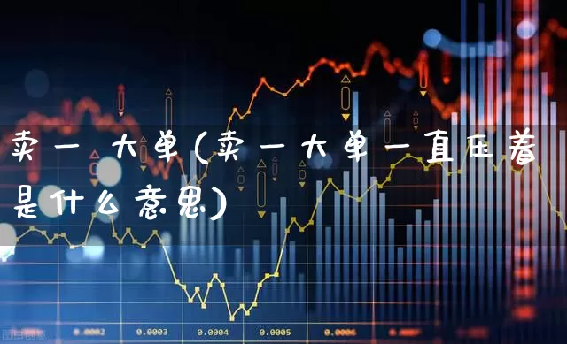 卖一 大单(卖一大单一直压着是什么意思)_https://www.wanyuyiyao.com_北交所_第1张