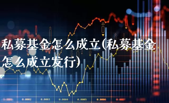 私募基金怎么成立(私募基金怎么成立发行)_https://www.wanyuyiyao.com_北交所_第1张