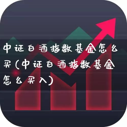 中证白酒指数基金怎么买(中证白酒指数基金怎么买入)_https://www.wanyuyiyao.com_创业板_第1张
