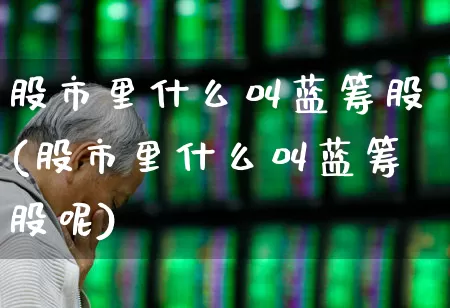 股市里什么叫蓝筹股(股市里什么叫蓝筹股呢)_https://www.wanyuyiyao.com_科创板_第1张