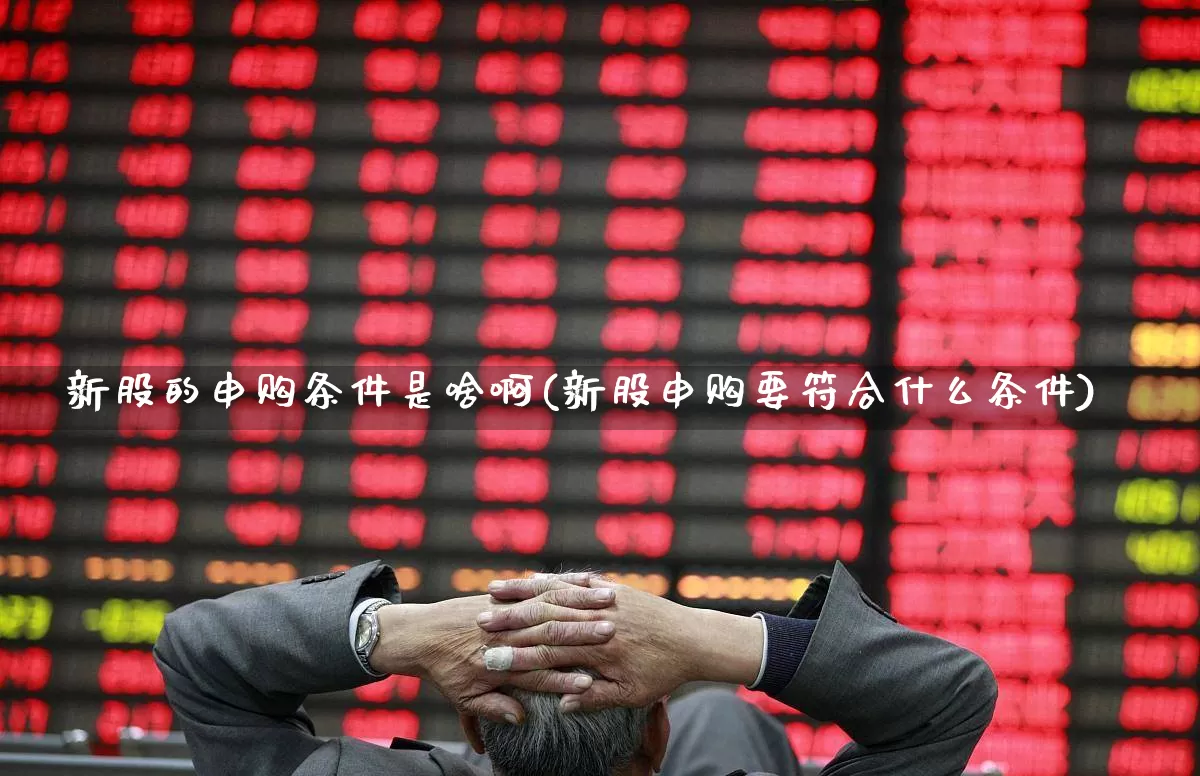 新股的申购条件是啥啊(新股申购要符合什么条件)_https://www.wanyuyiyao.com_创业板_第1张