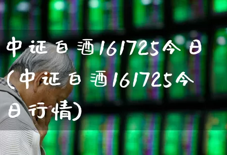 中证白酒161725今日(中证白酒161725今日行情)_https://www.wanyuyiyao.com_上交所_第1张