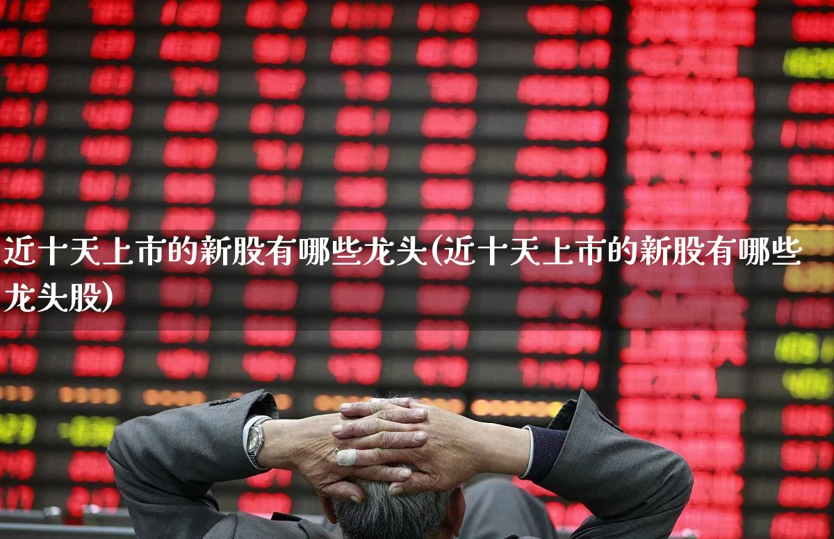 近十天上市的新股有哪些龙头(近十天上市的新股有哪些龙头股)_https://www.wanyuyiyao.com_深交所_第1张