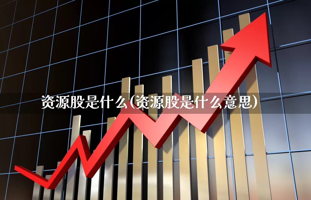 资源股是什么(资源股是什么意思)_https://www.wanyuyiyao.com_创业板_第1张