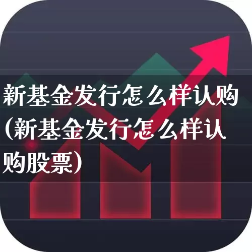 新基金发行怎么样认购(新基金发行怎么样认购股票)_https://www.wanyuyiyao.com_北交所_第1张