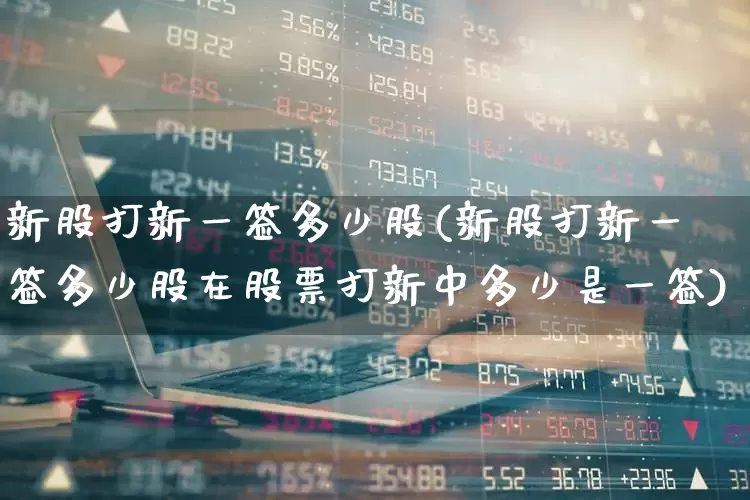 新股打新一签多少股(新股打新一签多少股在股票打新中多少是一签)_https://www.wanyuyiyao.com_深交所_第1张