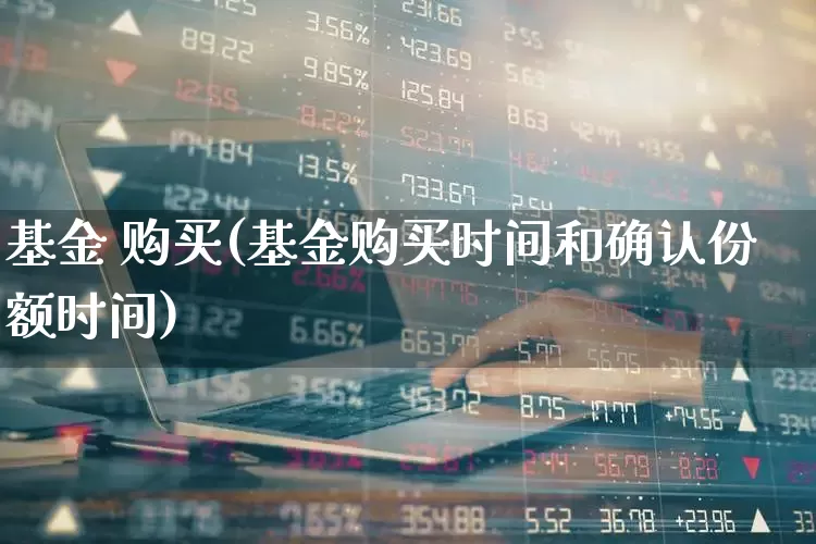 基金 购买(基金购买时间和确认份额时间)_https://www.wanyuyiyao.com_创业板_第1张