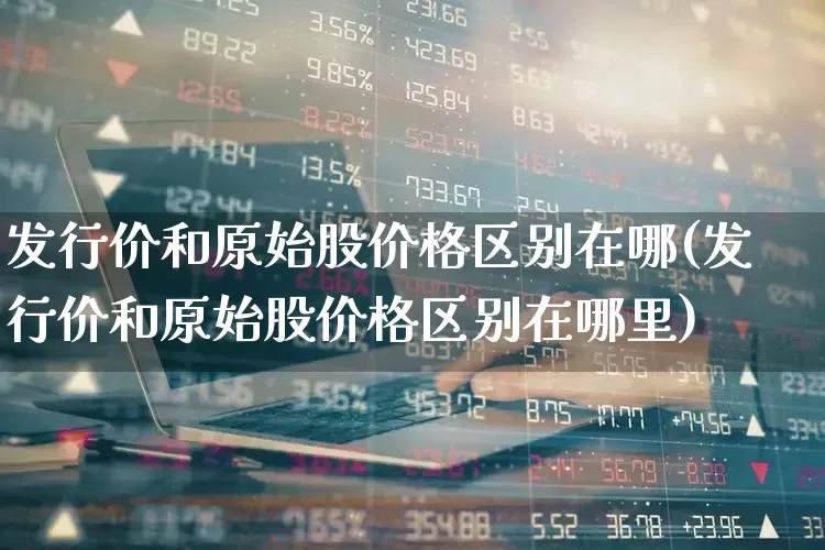发行价和原始股价格区别在哪(发行价和原始股价格区别在哪里)_https://www.wanyuyiyao.com_上交所_第1张