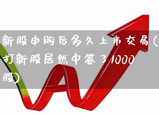 新股申购后多久上市交易(打新股居然中签了1000股)_https://www.wanyuyiyao.com_科创板_第1张