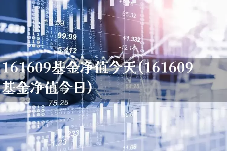 161609基金净值今天(161609基金净值今日)_https://www.wanyuyiyao.com_北交所_第1张