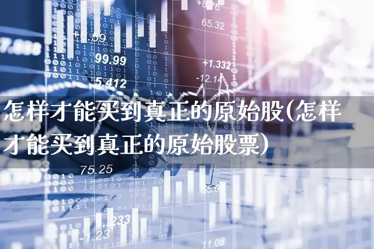 怎样才能买到真正的原始股(怎样才能买到真正的原始股票)_https://www.wanyuyiyao.com_深交所_第1张