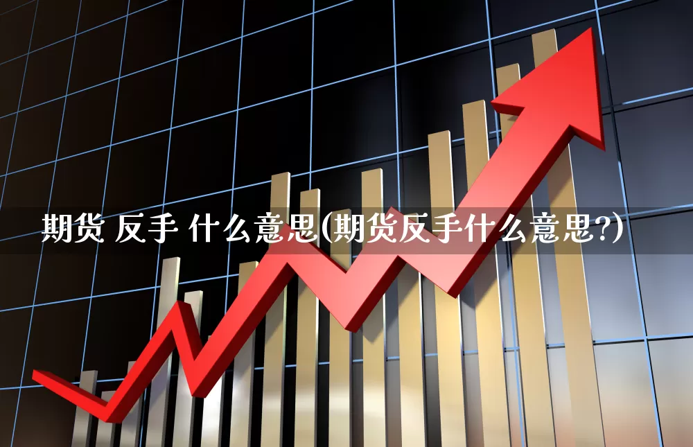 期货 反手 什么意思(期货反手什么意思?)_https://www.wanyuyiyao.com_上交所_第1张