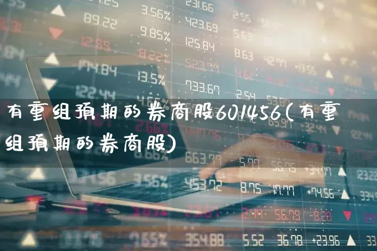 有重组预期的券商股601456(有重组预期的券商股)_https://www.wanyuyiyao.com_上交所_第1张