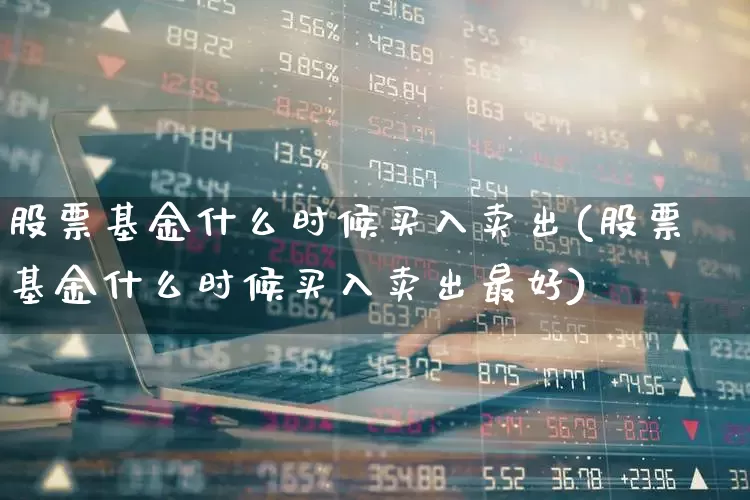 股票基金什么时候买入卖出(股票基金什么时候买入卖出最好)_https://www.wanyuyiyao.com_上交所_第1张