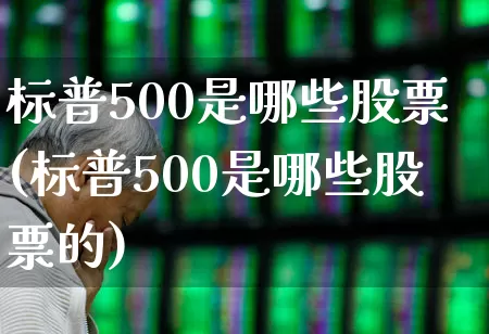 标普500是哪些股票(标普500是哪些股票的)_https://www.wanyuyiyao.com_上交所_第1张
