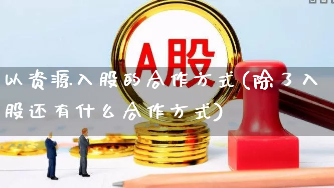 以资源入股的合作方式(除了入股还有什么合作方式)_https://www.wanyuyiyao.com_深交所_第1张