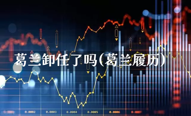 葛兰卸任了吗(葛兰履历)_https://www.wanyuyiyao.com_创业板_第1张