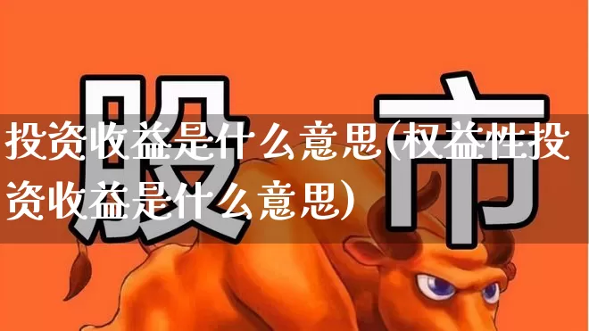 投资收益是什么意思(权益性投资收益是什么意思)_https://www.wanyuyiyao.com_科创板_第1张