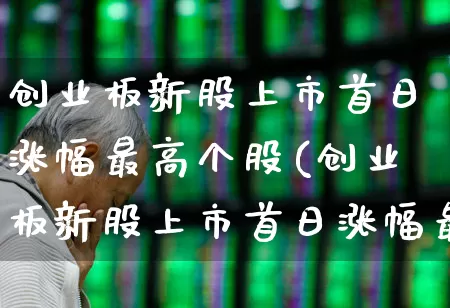 创业板新股上市首日涨幅最高个股(创业板新股上市首日涨幅最高个股多少)_https://www.wanyuyiyao.com_北交所_第1张