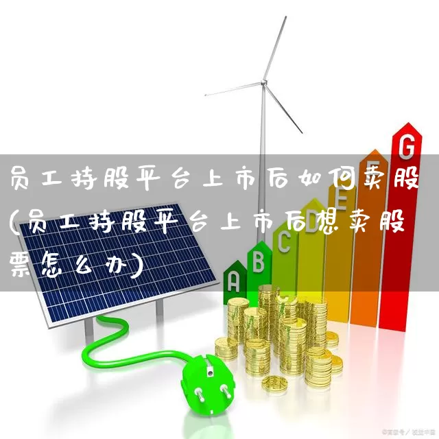 员工持股平台上市后如何卖股(员工持股平台上市后想卖股票怎么办)_https://www.wanyuyiyao.com_深交所_第1张