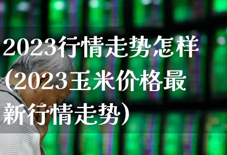 2023行情走势怎样(2023玉米价格最新行情走势)_https://www.wanyuyiyao.com_深交所_第1张