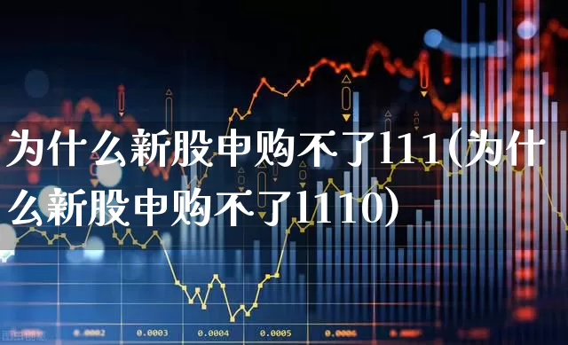 为什么新股申购不了l11(为什么新股申购不了l110)_https://www.wanyuyiyao.com_创业板_第1张