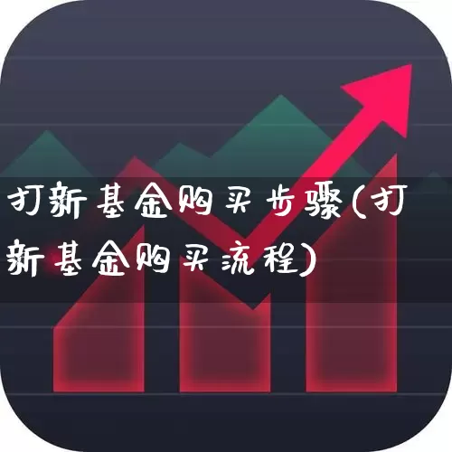 打新基金购买步骤(打新基金购买流程)_https://www.wanyuyiyao.com_科创板_第1张
