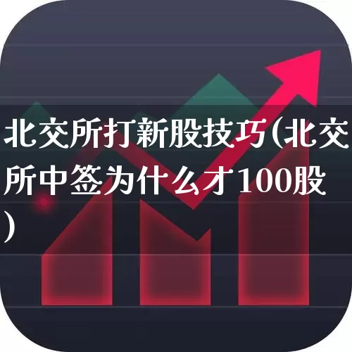 北交所打新股技巧(北交所中签为什么才100股)_https://www.wanyuyiyao.com_上交所_第1张