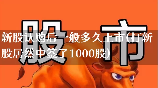 新股认购后一般多久上市(打新股居然中签了1000股)_https://www.wanyuyiyao.com_创业板_第1张