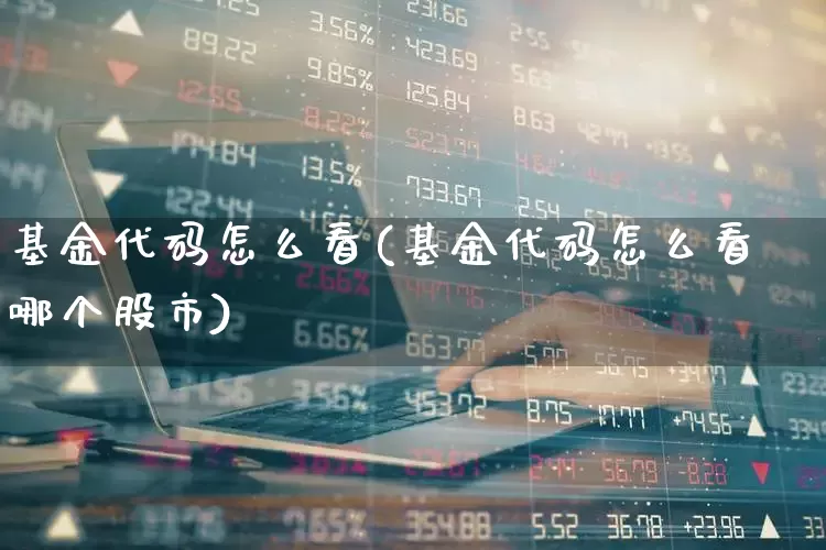 基金代码怎么看(基金代码怎么看哪个股市)_https://www.wanyuyiyao.com_上交所_第1张