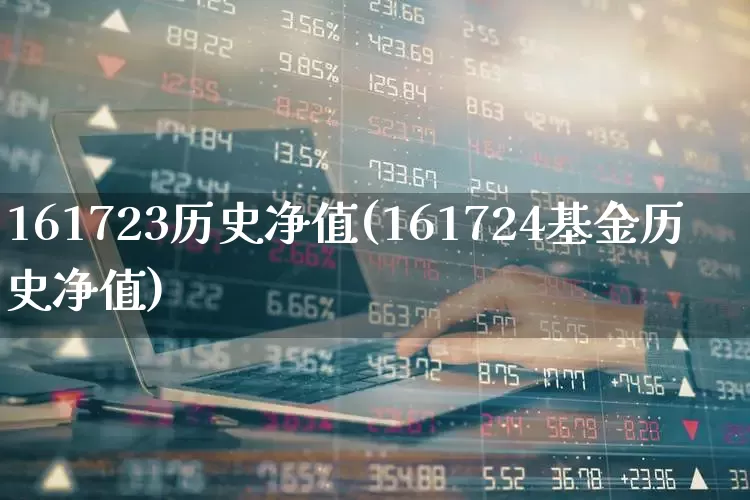 161723历史净值(161724基金历史净值)_https://www.wanyuyiyao.com_创业板_第1张
