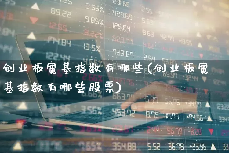 创业板宽基指数有哪些(创业板宽基指数有哪些股票)_https://www.wanyuyiyao.com_北交所_第1张
