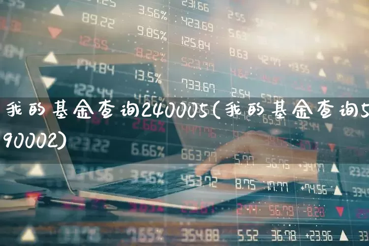 我的基金查询240005(我的基金查询590002)_https://www.wanyuyiyao.com_创业板_第1张
