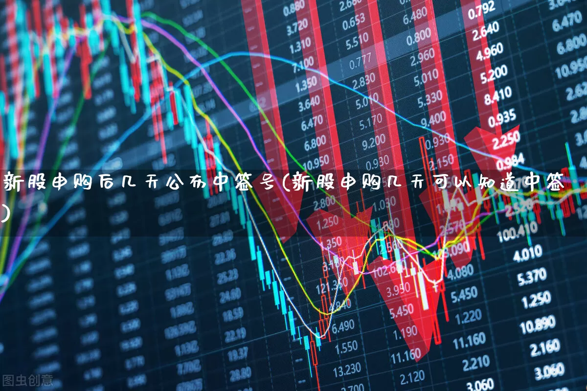 新股申购后几天公布中签号(新股申购几天可以知道中签)_https://www.wanyuyiyao.com_上交所_第1张