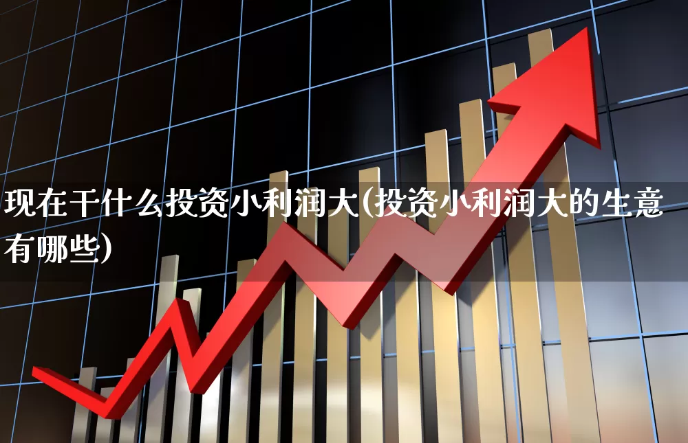 现在干什么投资小利润大(投资小利润大的生意有哪些)_https://www.wanyuyiyao.com_上交所_第1张