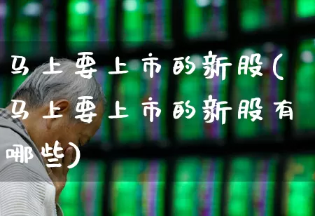 马上要上市的新股(马上要上市的新股有哪些)_https://www.wanyuyiyao.com_北交所_第1张