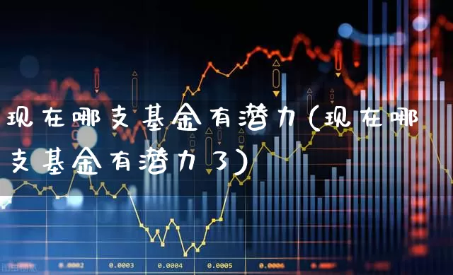 现在哪支基金有潜力(现在哪支基金有潜力了)_https://www.wanyuyiyao.com_深交所_第1张