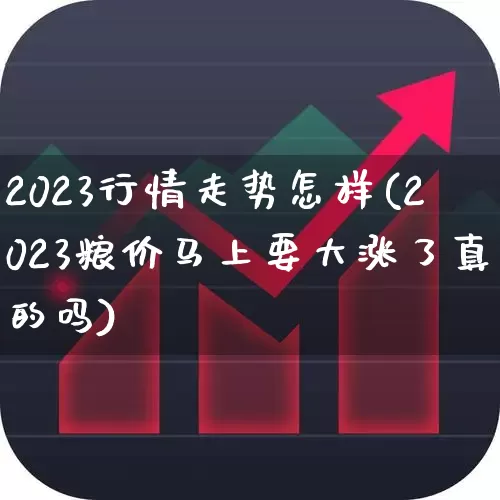 2023行情走势怎样(2023粮价马上要大涨了真的吗)_https://www.wanyuyiyao.com_科创板_第1张