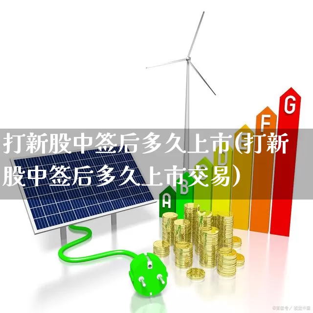 打新股中签后多久上市(打新股中签后多久上市交易)_https://www.wanyuyiyao.com_科创板_第1张