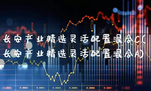 长安产业精选灵活配置混合C(长安产业精选灵活配置混合A)_https://www.wanyuyiyao.com_深交所_第1张