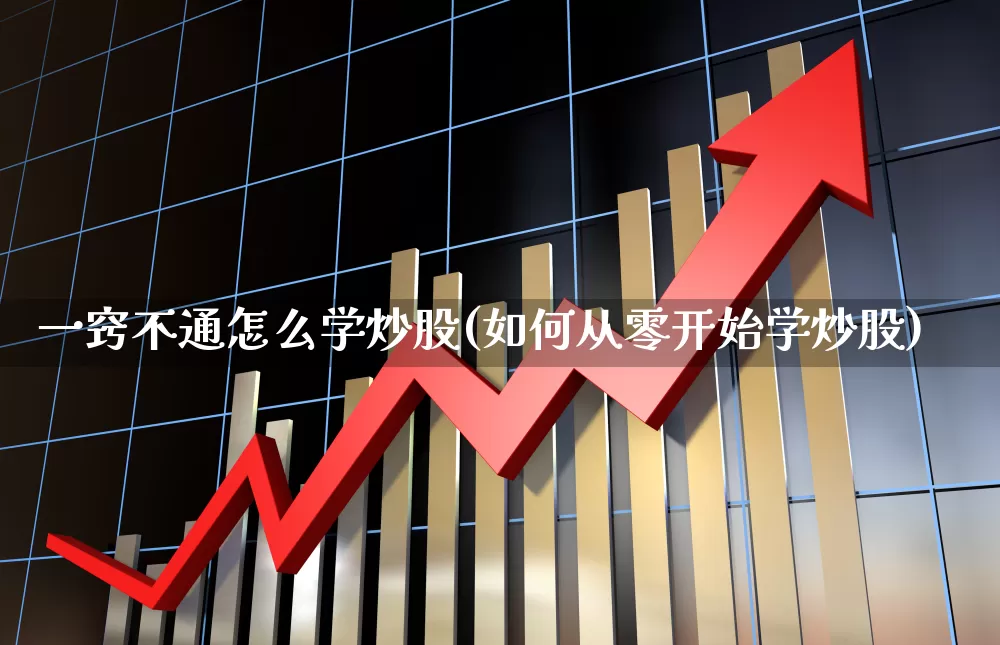 一窍不通怎么学炒股(如何从零开始学炒股)_https://www.wanyuyiyao.com_创业板_第1张