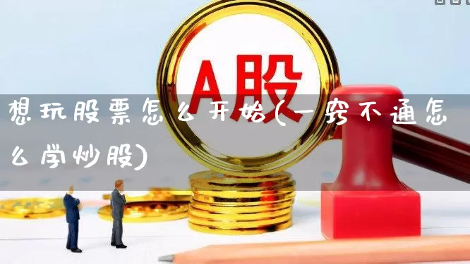 想玩股票怎么开始(一窍不通怎么学炒股)_https://www.wanyuyiyao.com_上交所_第1张