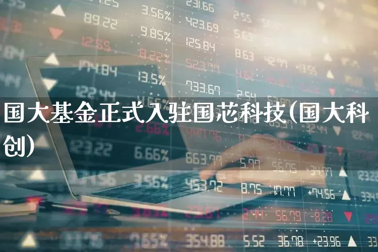 国大基金正式入驻国芯科技(国大科创)_https://www.wanyuyiyao.com_上交所_第1张