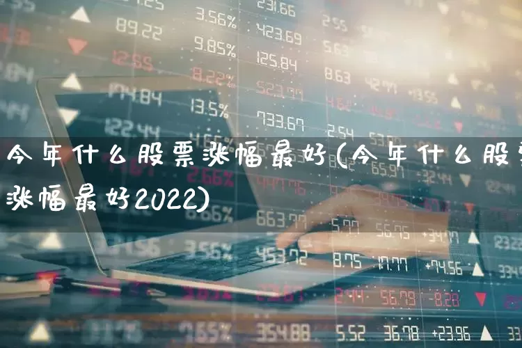 今年什么股票涨幅最好(今年什么股票涨幅最好2022)_https://www.wanyuyiyao.com_深交所_第1张