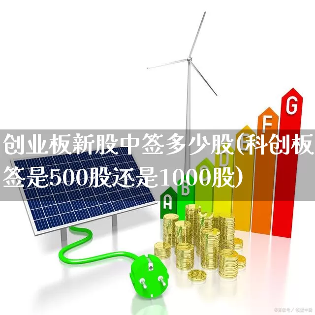 创业板新股中签多少股(科创板中签是500股还是1000股)_https://www.wanyuyiyao.com_深交所_第1张